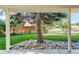 A picturesque backyard view from the covered patio at 9852 Zephyr Dr, Broomfield, CO 80021