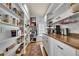 Pantry featuring extensive shelving for storage and countertop with under cabinet lighting at 10653 W Parkhill Dr, Littleton, CO 80127