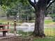 Scenic view of a peaceful pond and fountain with a park bench nearby at 4850 S Kittredge St, Aurora, CO 80015