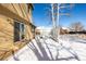 Snowy backyard with patio and trees at 1506 Maple Dr, Berthoud, CO 80513