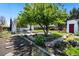 Backyard featuring lawn, a mature tree and stone landscaping, perfect for relaxation at 3147 W 39Th Ave, Denver, CO 80211