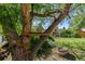 Treehouse in the backyard with green grass and blue skies, a nice space for relaxation and outdoor activities at 11320 Irma Dr, Northglenn, CO 80233