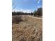 Neighborhood walking path through open grass and light trees at 2108 S Idalia S St, Aurora, CO 80013