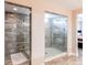 Spa-like bathroom features dual walk-in showers with glass doors and tiled walls at 14763 Pepper Pike Pl, Parker, CO 80134