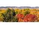 Autumn treetops with mountain view in background at 11177 W 68Th Pl, Arvada, CO 80004