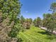 Lush, meticulously maintained grassy area with various trees on a sunny day at 7755 E Quincy Ave # 301A7, Denver, CO 80237
