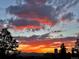 Striking view of a colorful orange sunset with clouds over a distant skyline and trees at 1111 Race St # 6B, Denver, CO 80206