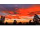 Beautiful view of an orange sunset sky with silhouetted trees and building at 1111 Race St # 6B, Denver, CO 80206