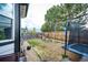 Fenced back yard with lush lawn and a trampoline at 11699 Pink Phlox Dr, Parker, CO 80134