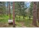 Backyard featuring mature trees, a hammock, and outdoor seating with a table and umbrella at 8095 Bannock Dr, Larkspur, CO 80118