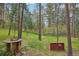 Backyard featuring a table on a log stand and red corral in a landscape of mature trees at 8095 Bannock Dr, Larkspur, CO 80118