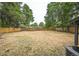 Expansive backyard featuring a wood fence, mature trees, and plenty of space for outdoor activities at 7010 W 44Th Ave, Wheat Ridge, CO 80033