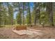 Horseshoe pit with wooden platforms and benches, set among tall trees at 387 Pine Dr, Idaho Springs, CO 80452