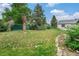 A grassy backyard surrounded by mature trees and landscaping at 1001 Victor St, Aurora, CO 80011