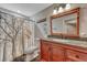 Bathroom with a wood vanity, decorative mirror, and shower featuring a nature-themed curtain at 55610 E 40Th Ave, Strasburg, CO 80136