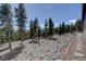 Scenic backyard with mature trees and natural landscaping offering a serene outdoor space at 32091 Black Widow Dr, Conifer, CO 80433