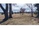 View of serene open space with mature trees in the distance at 178 E 11Th Ave, Broomfield, CO 80020