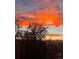 Scenic sunset view from property showcasing colorful sky with tree silhouette at 7770 S Estes St, Littleton, CO 80128