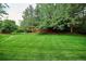 Expansive backyard with lush green lawn, mature trees, and wooden fence, ideal for outdoor activities at 1441 S Ulster St, Denver, CO 80231