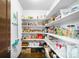 Well-organized pantry with white shelving and ample storage space for food and supplies at 10243 Spring Green Dr, Englewood, CO 80112