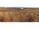 Expansive golden field with distant pond views, offering a tranquil and natural landscape at 4063 S Quintero Way, Aurora, CO 80013