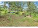 Scenic backyard with a hammock strung between trees in a wooded area at 30273 Conifer Rd, Evergreen, CO 80439