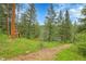 Wooded lot featuring walking path, green foliage, and garden cages at 30273 Conifer Rd, Evergreen, CO 80439
