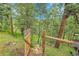 A wooden gate opens to a lush, green backyard with towering pine trees, set against a serene landscape at 30273 Conifer Rd, Evergreen, CO 80439