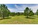 Expansive backyard, perfect for outdoor activities, with mature trees and lush grass at 18376 Heavens Pl, Monument, CO 80132