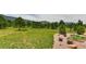 Large grassy backyard with views, rock beds and garden. Great for outdoor enjoyment at 18376 Heavens Pl, Monument, CO 80132