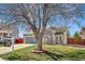 Charming home with well-maintained front yard and large tree offering shade and curb appeal at 971 Parsons Ave, Castle Rock, CO 80104
