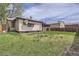Grassy backyard featuring a well-maintained fence at 4835 Harlan St, Wheat Ridge, CO 80033