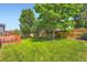 Large backyard with green grass, trees, and a wooden fence at 22436 E Maplewood Pl, Aurora, CO 80015