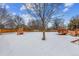 Snow-covered backyard with tree and playset at 5885 Cheetah Cv, Lone Tree, CO 80124