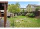 Green backyard with a wood fence, small tree, lush grass, and wooden deck on the right at 3312 Meadow Ave, Broomfield, CO 80020