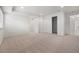 Finished basement featuring neutral carpet, white walls, and multiple closets and doorways at 5322 Shetland Ct, Highlands Ranch, CO 80130