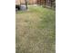 View of the backyard with grass, a small bare tree, surrounded by wooden fences and flower beds at 11375 W Maplewood Ave, Littleton, CO 80127