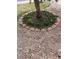 Landscaped yard featuring emerging greenery surrounded by brick edging at 11375 W Maplewood Ave, Littleton, CO 80127