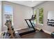 Home gym featuring a treadmill, weights, and ample natural light from large windows at 2508 S Pennsylvania St, Denver, CO 80210