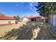 Spacious backyard featuring lush green grass and a sturdy wood fence at 3885 Hoyt St, Wheat Ridge, CO 80033