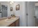 Bathroom vanity with framed mirror at 4437 Cornish Way, Denver, CO 80239