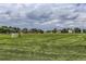 Soccer field in the community park with houses in the background at 8750 Redwing Ave, Littleton, CO 80126