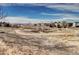 Scenic view of the community featuring walking trails and lush open spaces under a bright blue sky at 10141 Autumn Blaze Trl, Highlands Ranch, CO 80129