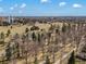 Aerial view of a beautiful park landscape with mature trees and the city skyline in the distance at 1410 Vine St # 3, Denver, CO 80206