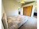 Bedroom with ceiling fan, carpet, closet, and view into the bathroom at 16840 Hoot Owl Ct, Parker, CO 80134