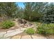 Backyard featuring a rock waterfall, lush greenery, and a natural stone pathway at 786 International Isle Dr, Castle Rock, CO 80108