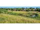Picturesque view of a pond surrounded by lush green fields and trees, in a tranquil setting at 7312 S Moore Ct, Littleton, CO 80127