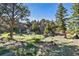 Picturesque backyard showcasing natural rock formations, mature trees, and native vegetation, creating a serene outdoor space at 9041 Eastridge Rd, Golden, CO 80403