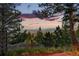 Panoramic view through a lush forest to a city on the horizon, under a sunset-colored sky at 9041 Eastridge Rd, Golden, CO 80403