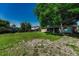 Backyard featuring mature trees, wooden fence, and spacious lawn at 7479 Pierce St, Arvada, CO 80003
